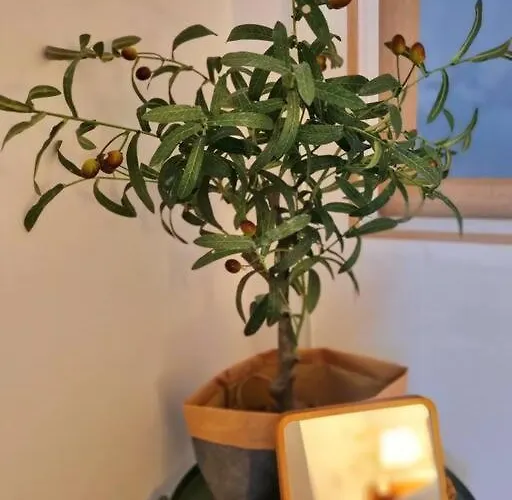 Apartamento Gimpo House Seúl